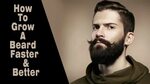 How to Grow a Beard or Mustache Quickly Grow beard, Growing 